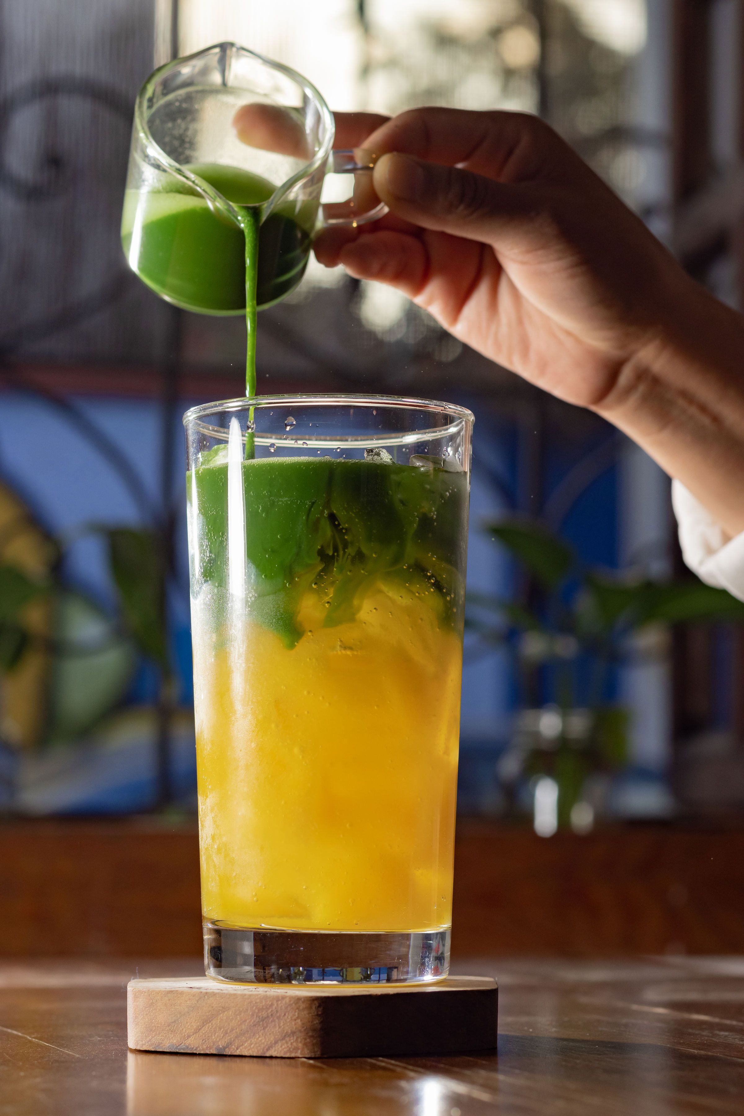Green Palm Tea Photos, Download The BEST Free Green Palm Tea Stock ...