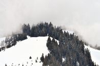 冬日里，白雪皑皑的山峰与雾气笼罩的松树，构成一片宁静景象