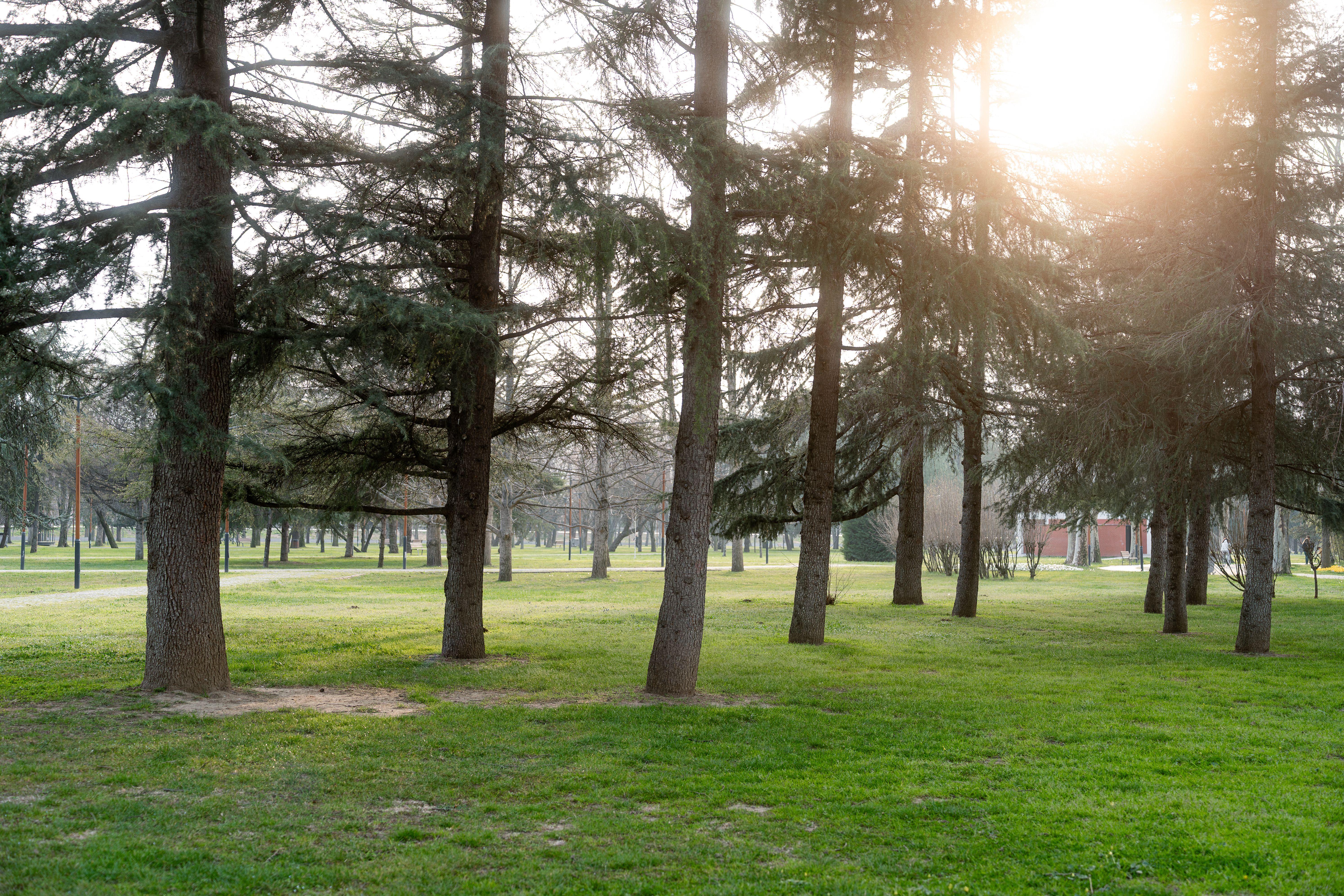Peaceful outdoor therapy setting in East Tennessee - affordable drug rehab Knoxville