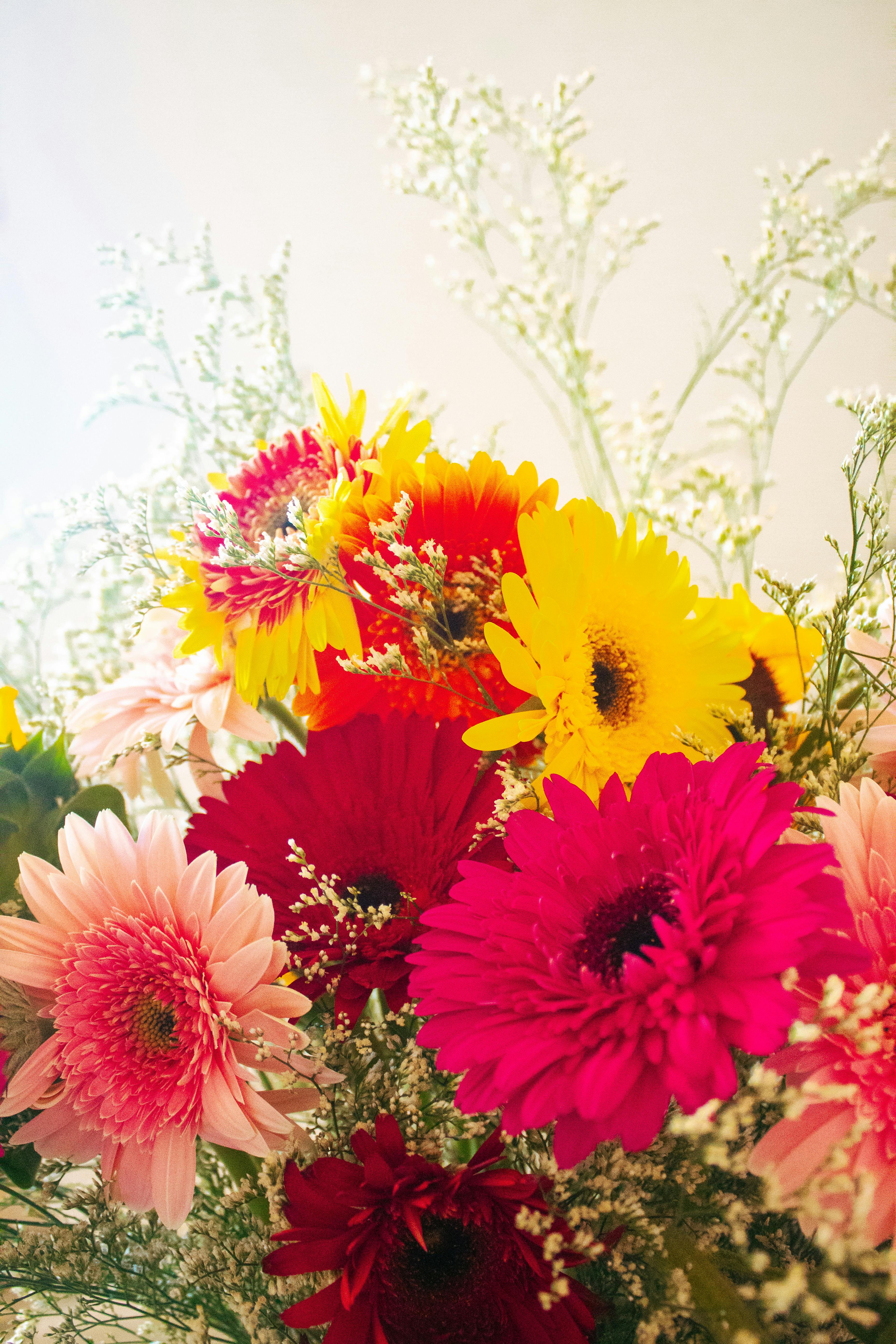 [ColoSach]-bright-and-colorful-bouquet-of-diverse-gerbera-daisies-with-delicate-foliage,-perfect-for-floral-designs.
