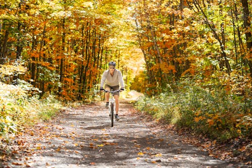 무료 숲에서 자전거를 타고 회색 재킷을 입은 남자 스톡 사진