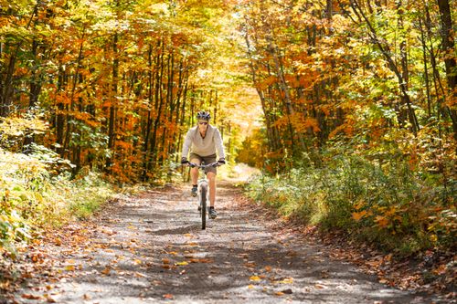 Free A cyclist enjoying a fall ride on a leaf-covered trail surrounded by colorful foliage. Stock Photo