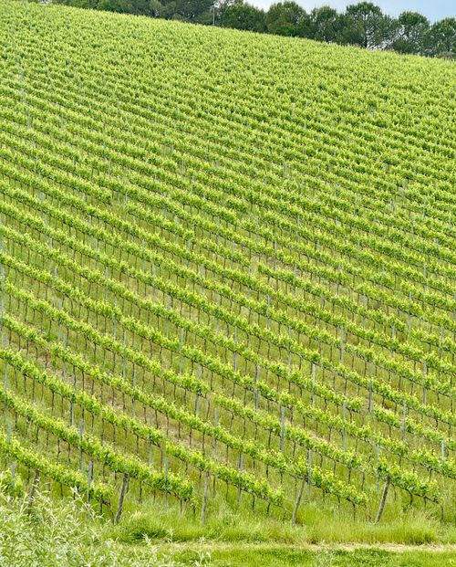 Free stock photo of central italy, classic italy, countryside italy Stock Photo