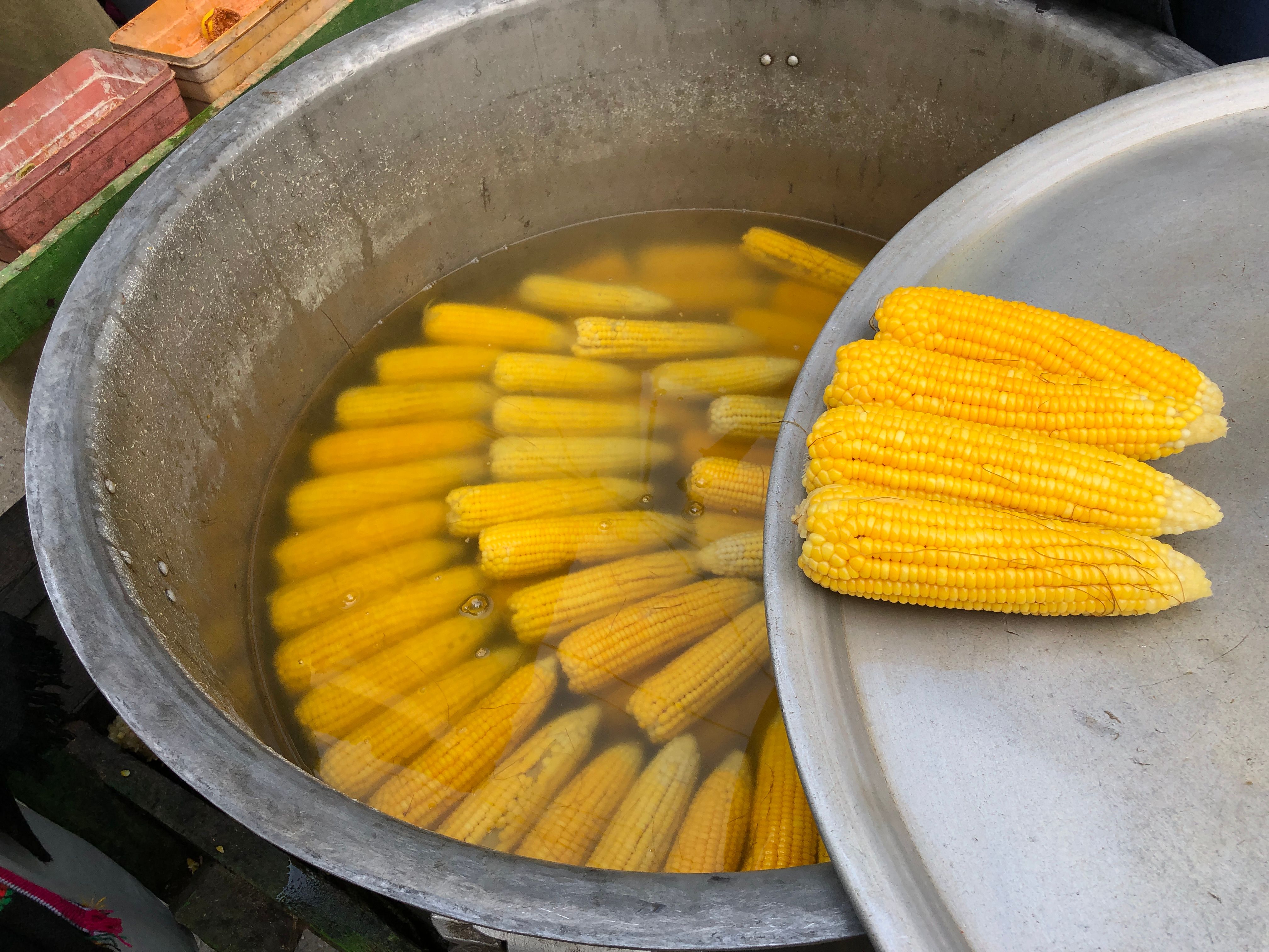 Freshly Boiled Corn at Mingora Street Market · Free Stock Photo