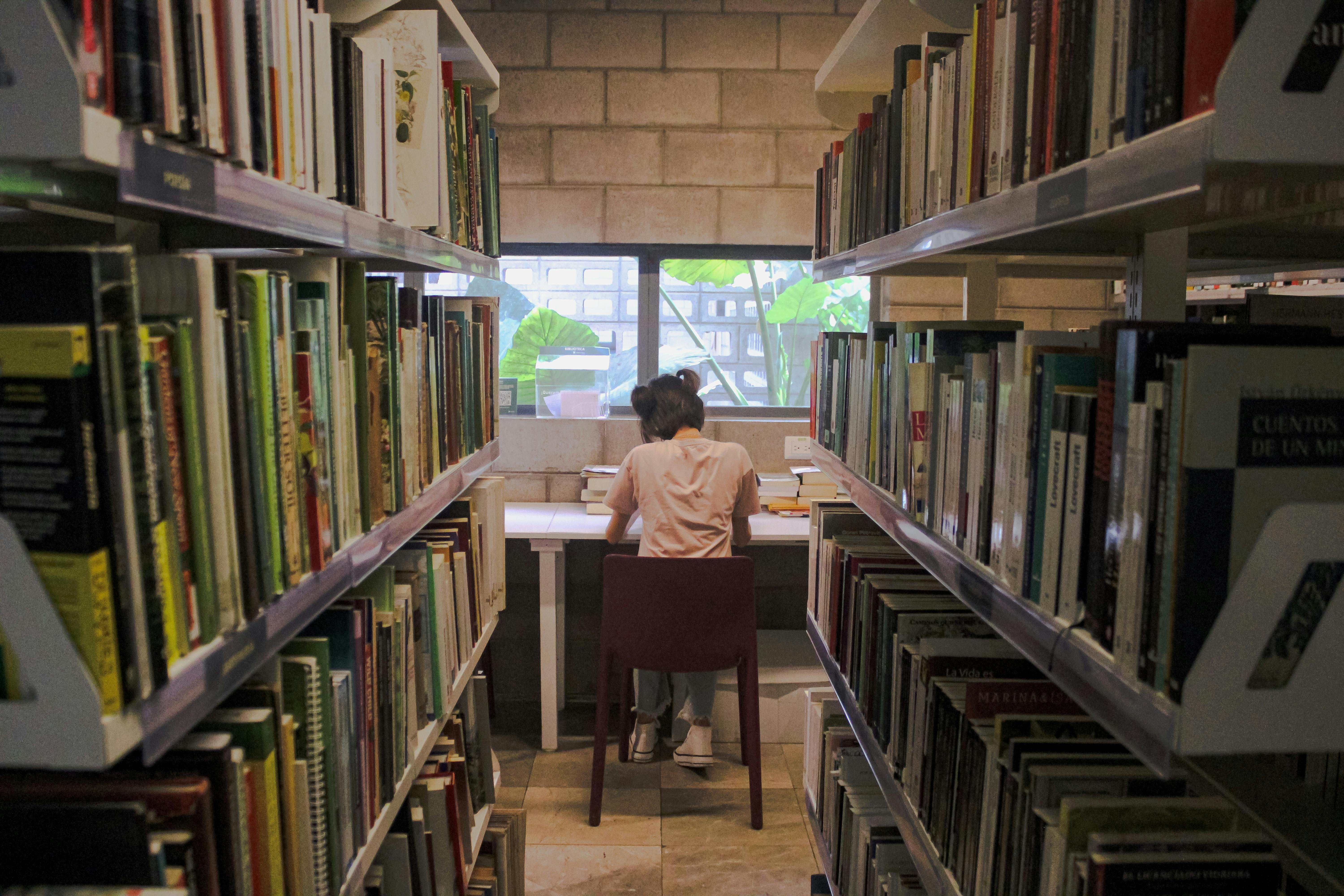 Nigeria's Infrastructure Crisis Deepens: Communal Violence and Transport Safety Failures Threaten Business Continuity