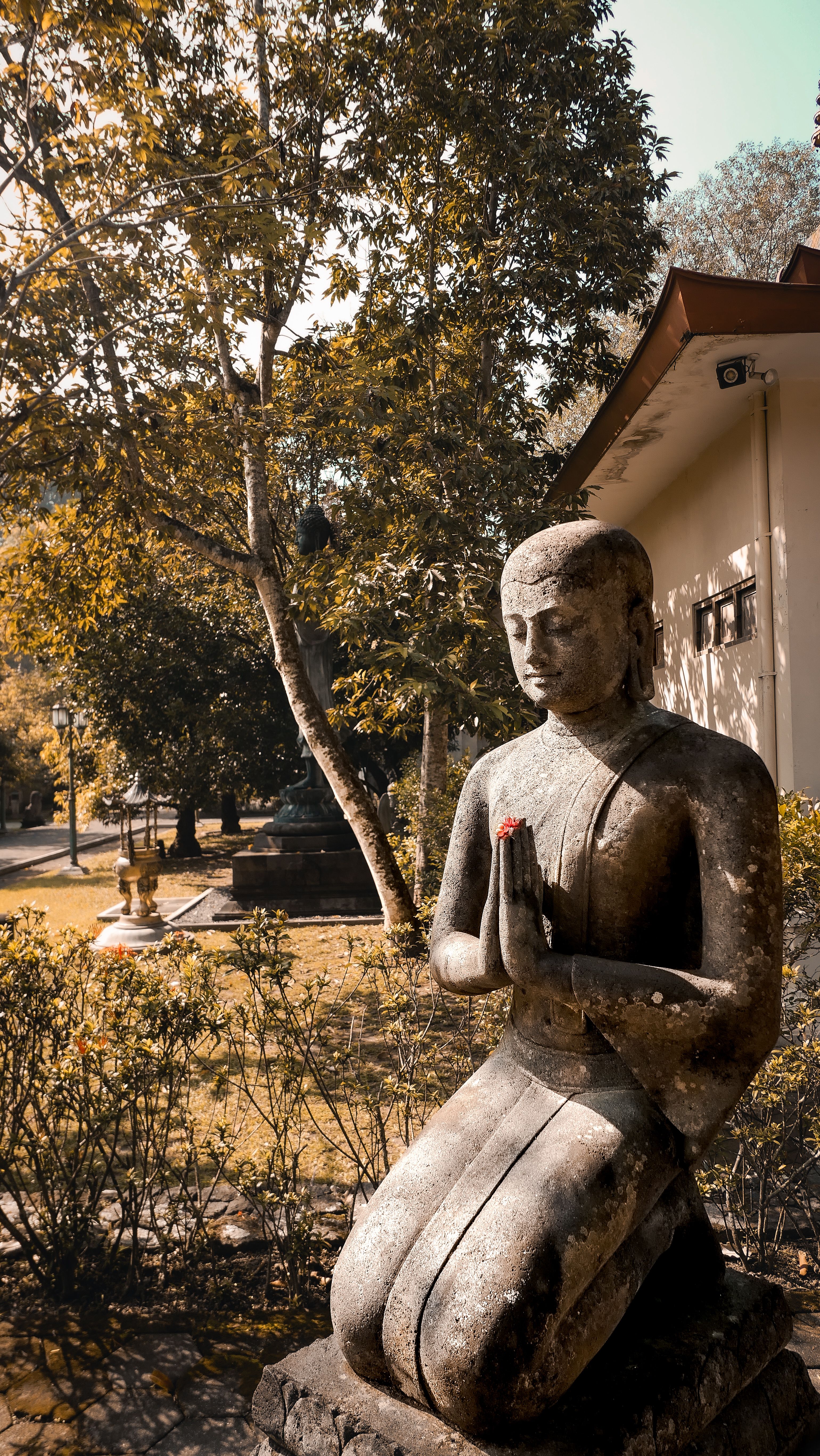 Statue of Buddha in prayer pose amidst a tranquil outdoor garden setting, symbolizing peace and meditation.