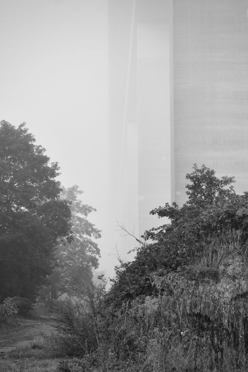 Free Eerie urban scene capturing misty skyscraper and trees in foggy ambiance. Stock Photo