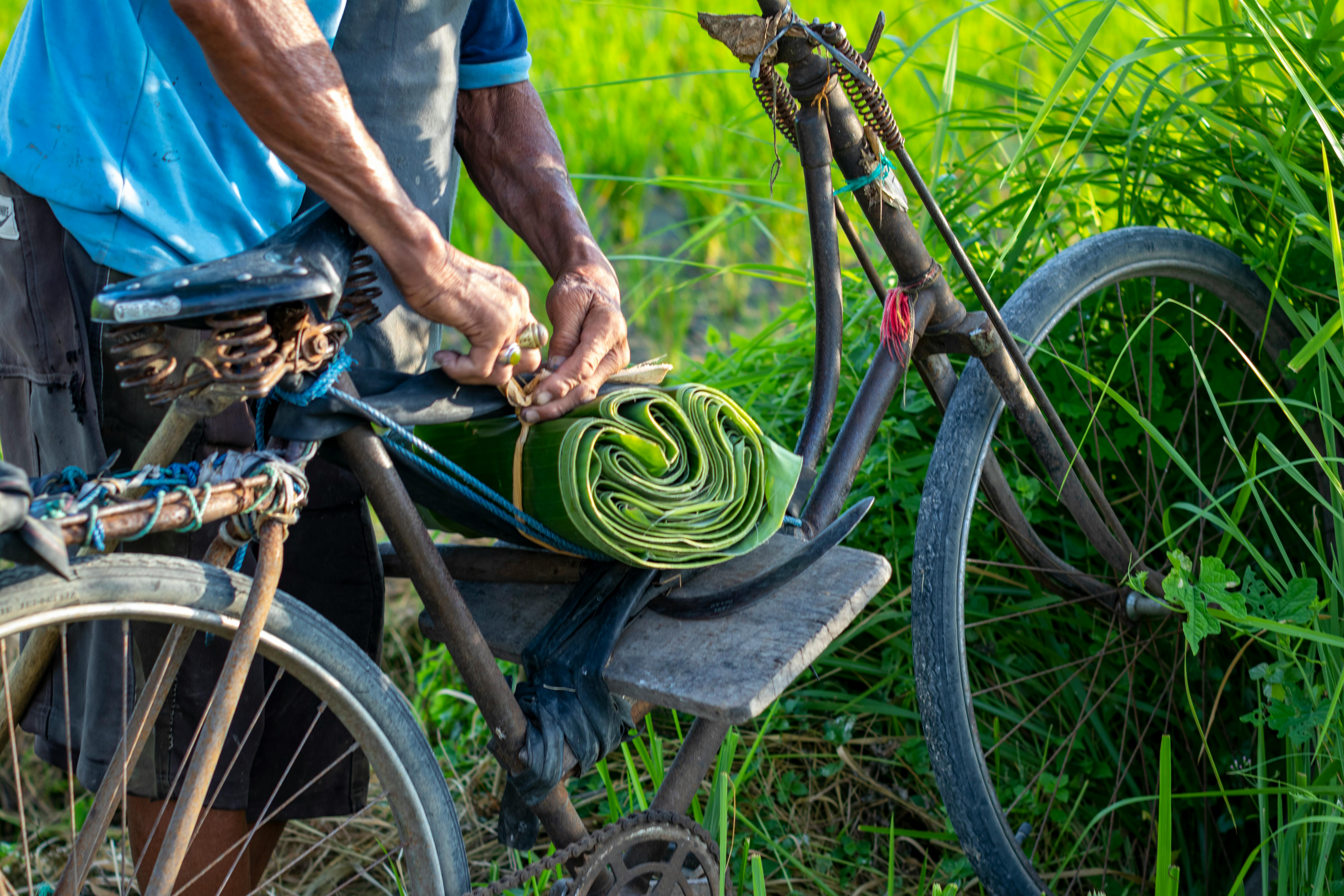 A man arranges banana leaves on a bicycle in a lush green field, capturing a rustic outdoor scene.