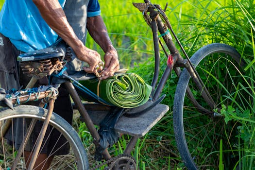 A man arranges banana leaves on a bicycle in a lush green field, capturing a rustic outdoor scene.