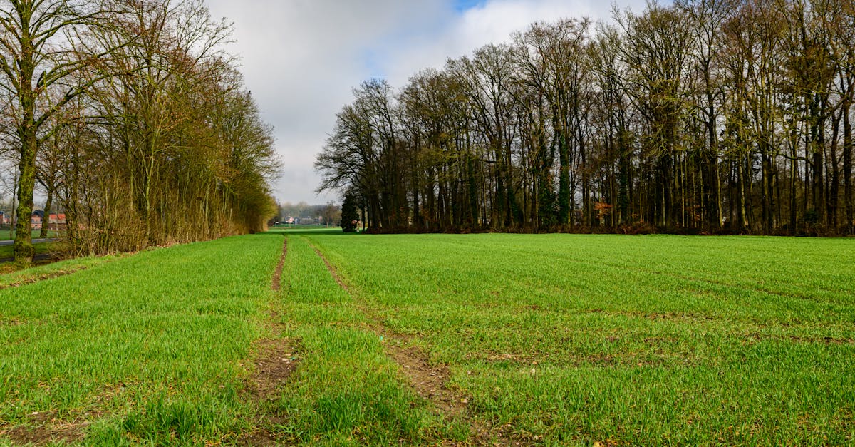 Comparatif des Meilleures Balades à Vélo