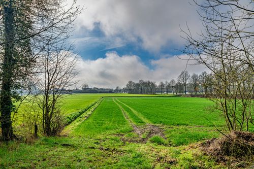 Free Scenic spring landscape of a green field in Coesfeld, Germany, under a vibrant sky. Stock Photo