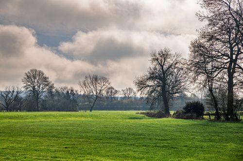 Free Tranquil landscape with grassy field and bare trees under a cloudy sky in Coesfeld, Germany. Stock Photo