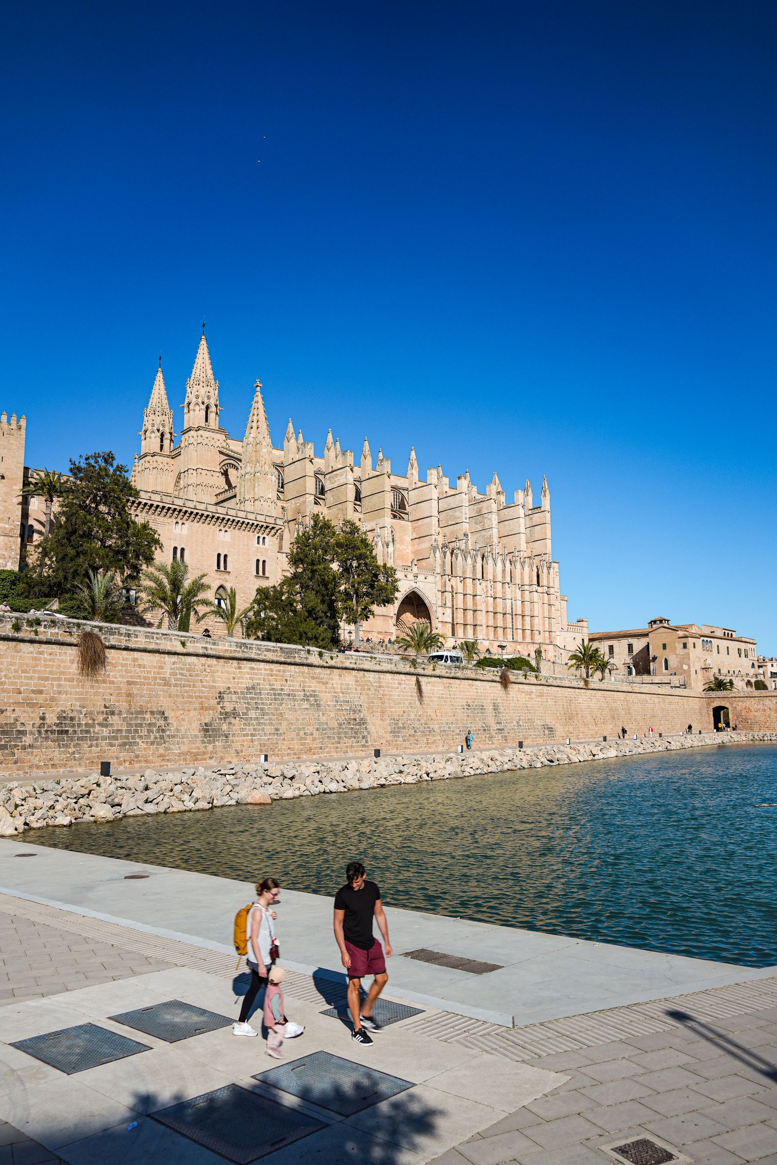 Palma