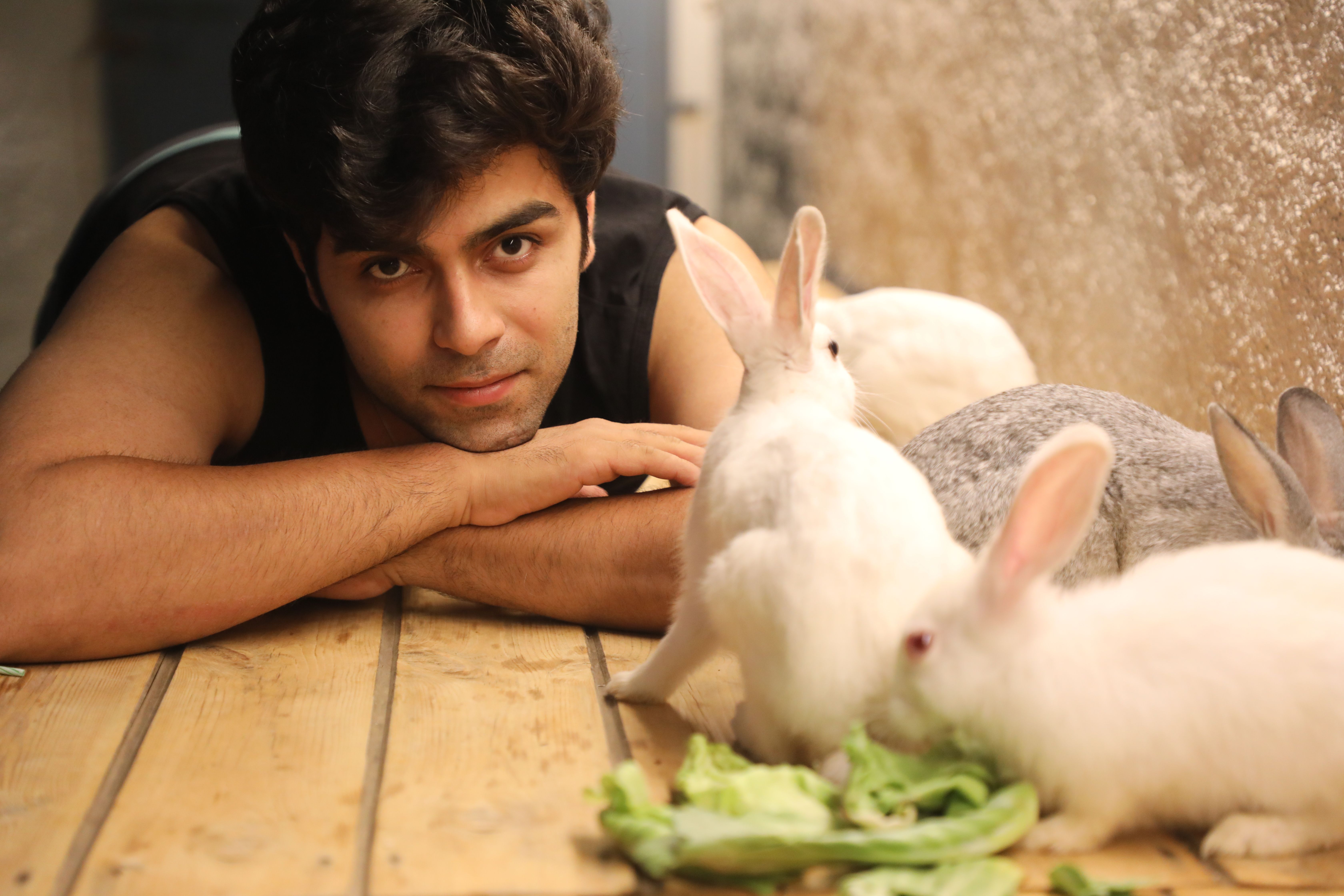 A young man lying on a wooden table surrounded by white rabbits eating lettuce.