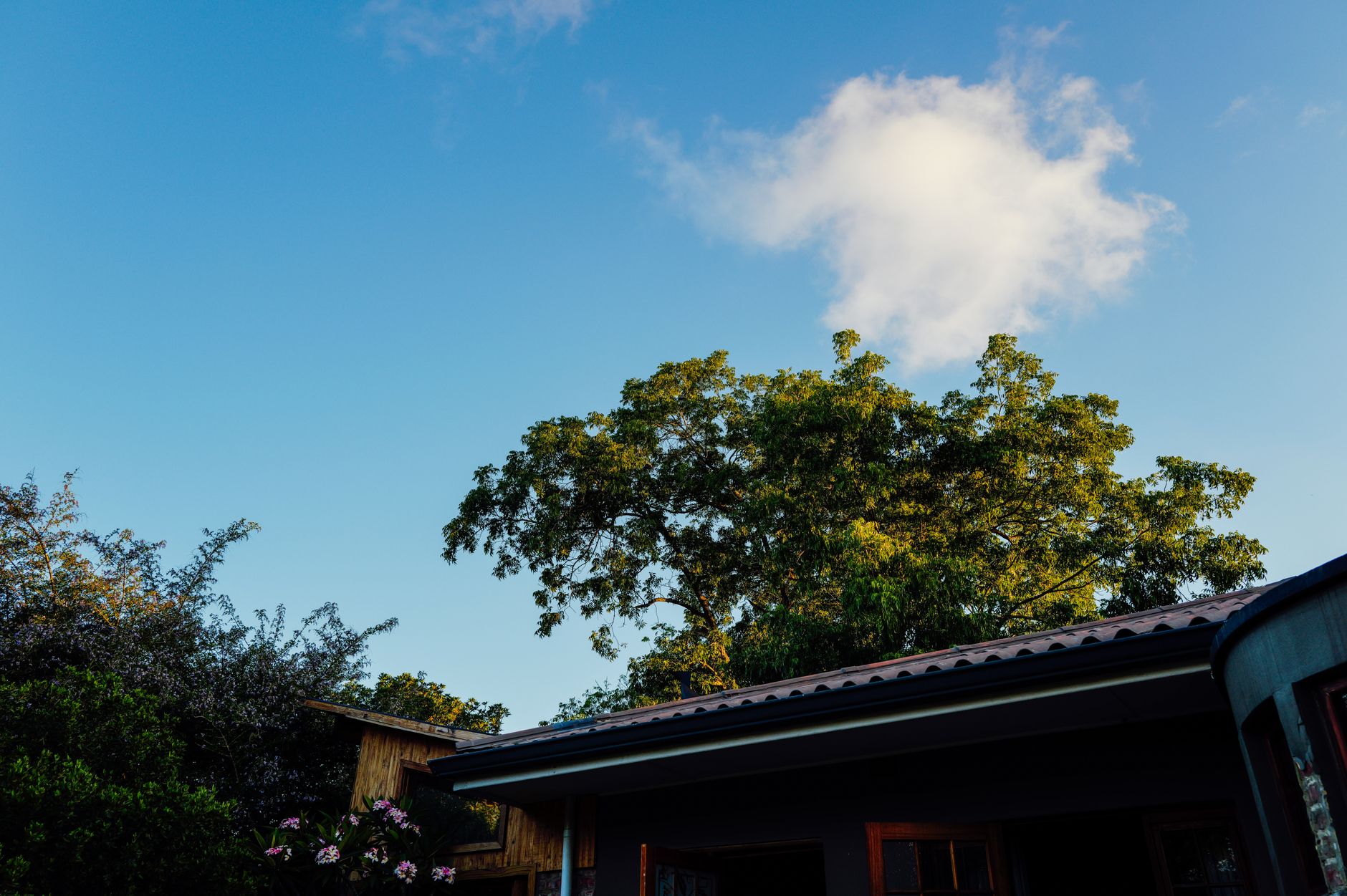 Eagle Rock Real Estate Market Forecast for 2026 Eagle Rock Real Estate Market Forecast for 2026