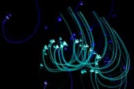 Abstract Blue and Green Light Trails on Black Background