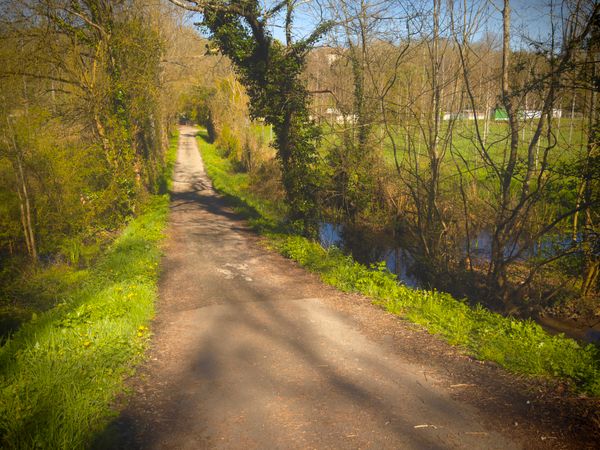 Chemin de campagne longeant un ruisseau bordé d'arbres au début du printemps