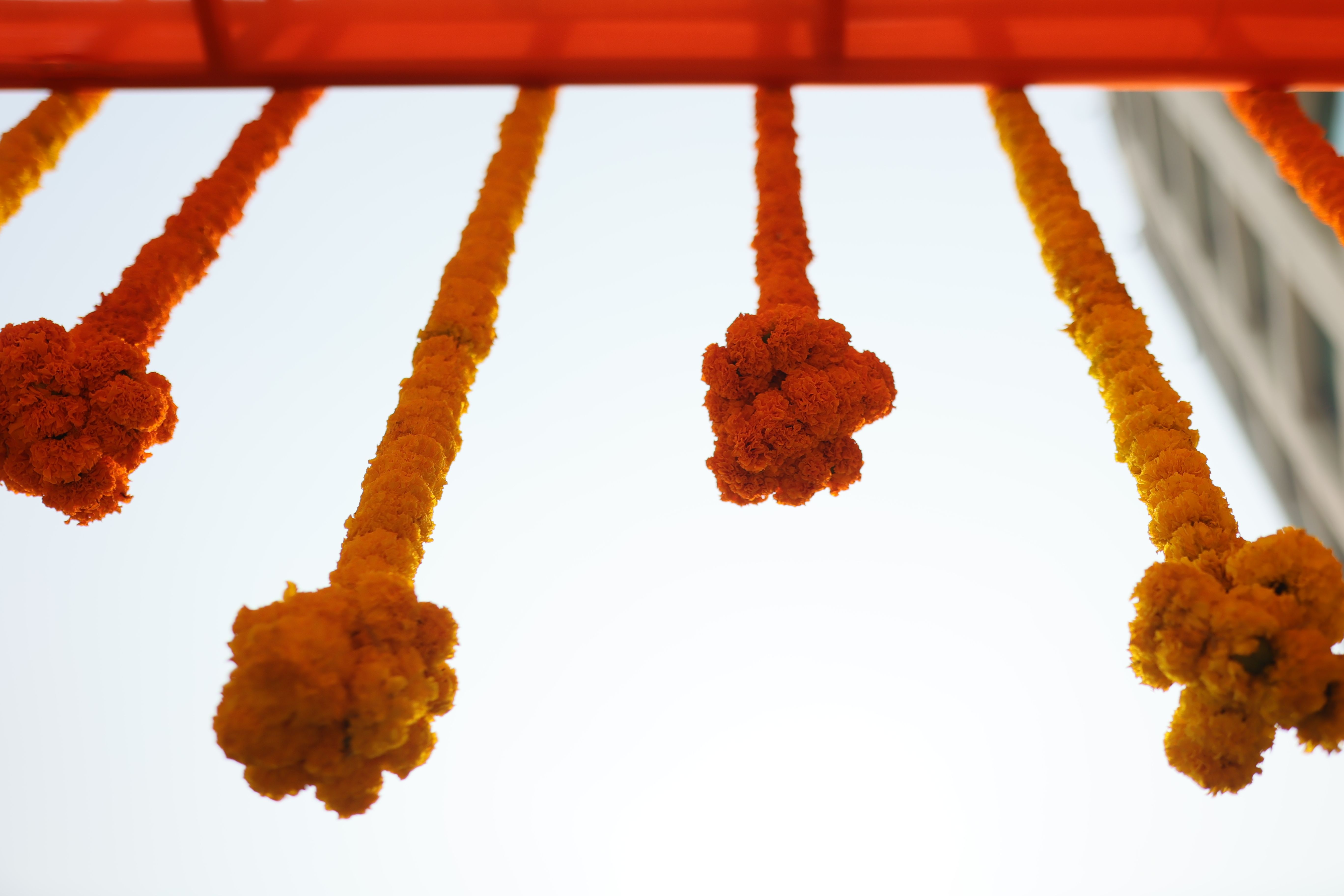 Shubh Muhurat Countdown: Last Wedding Dates Before Chaturmas