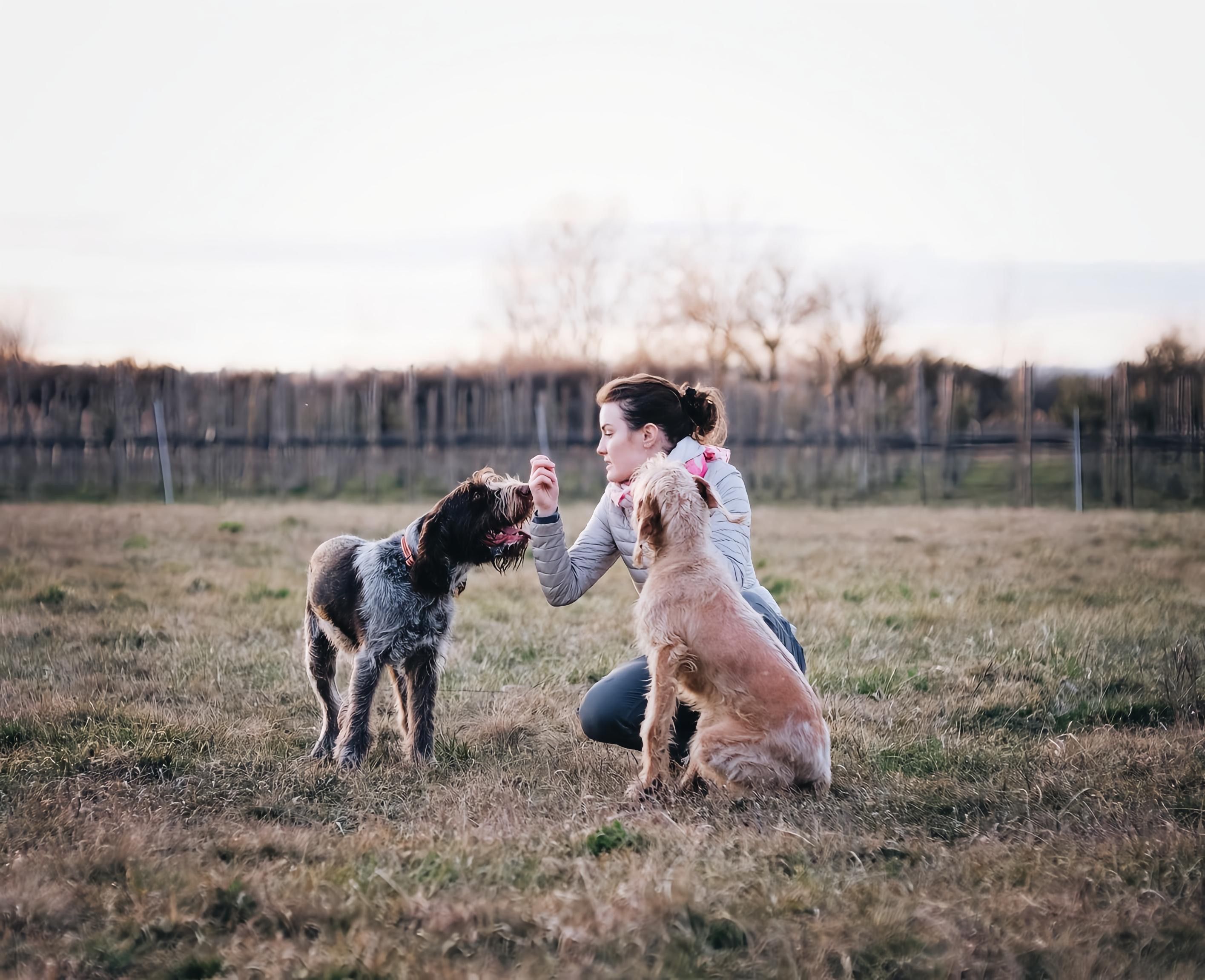 Best Accessories and Gadgets for Pet Owners in 2026: Essential Gear for Dogs, Cats, and Small Pets - Tech Times — Photo by An