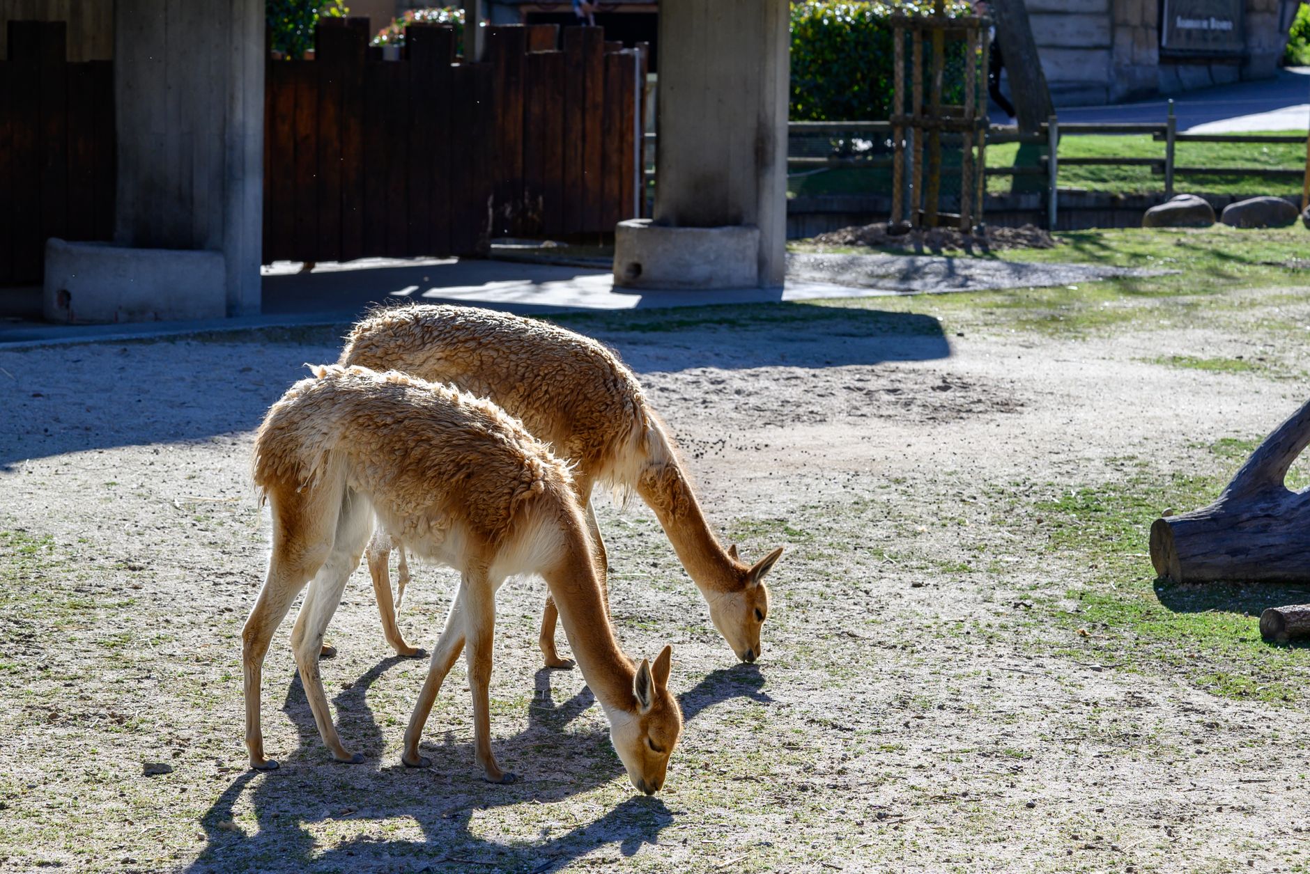 Madrid + Faunia Zoo