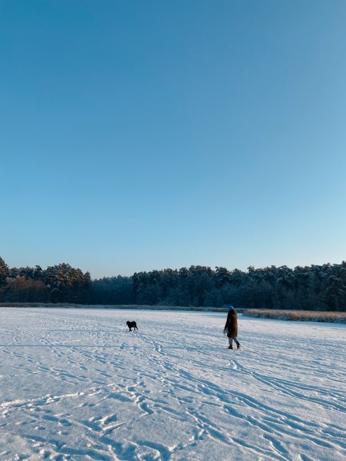 Free A person walking with a dog on a snowy field with a forest backdrop under a blue sky. Stock Photo