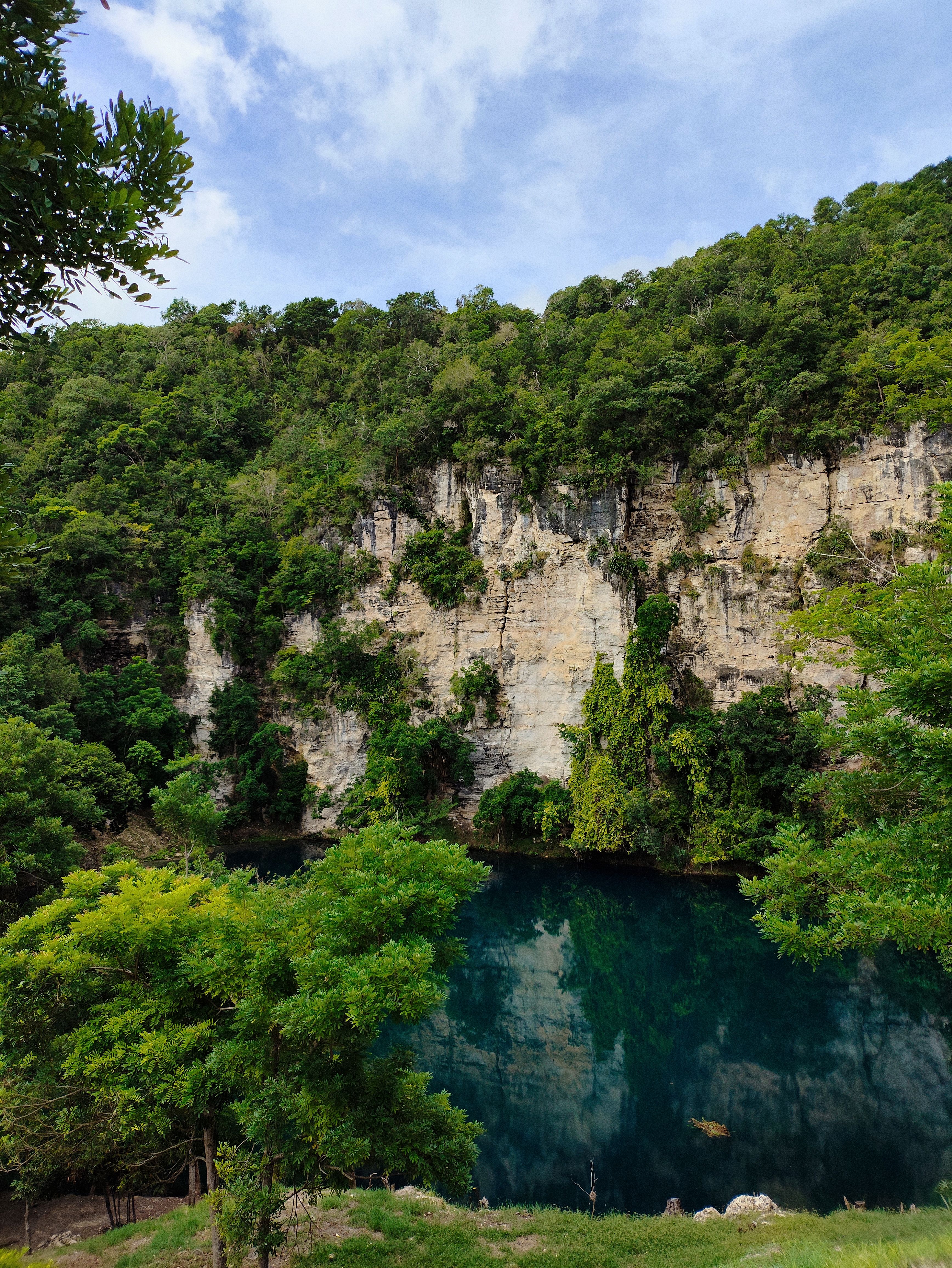Cenote in the Riviera Maya surrounded by jungle in Quintana Roo, Mexico