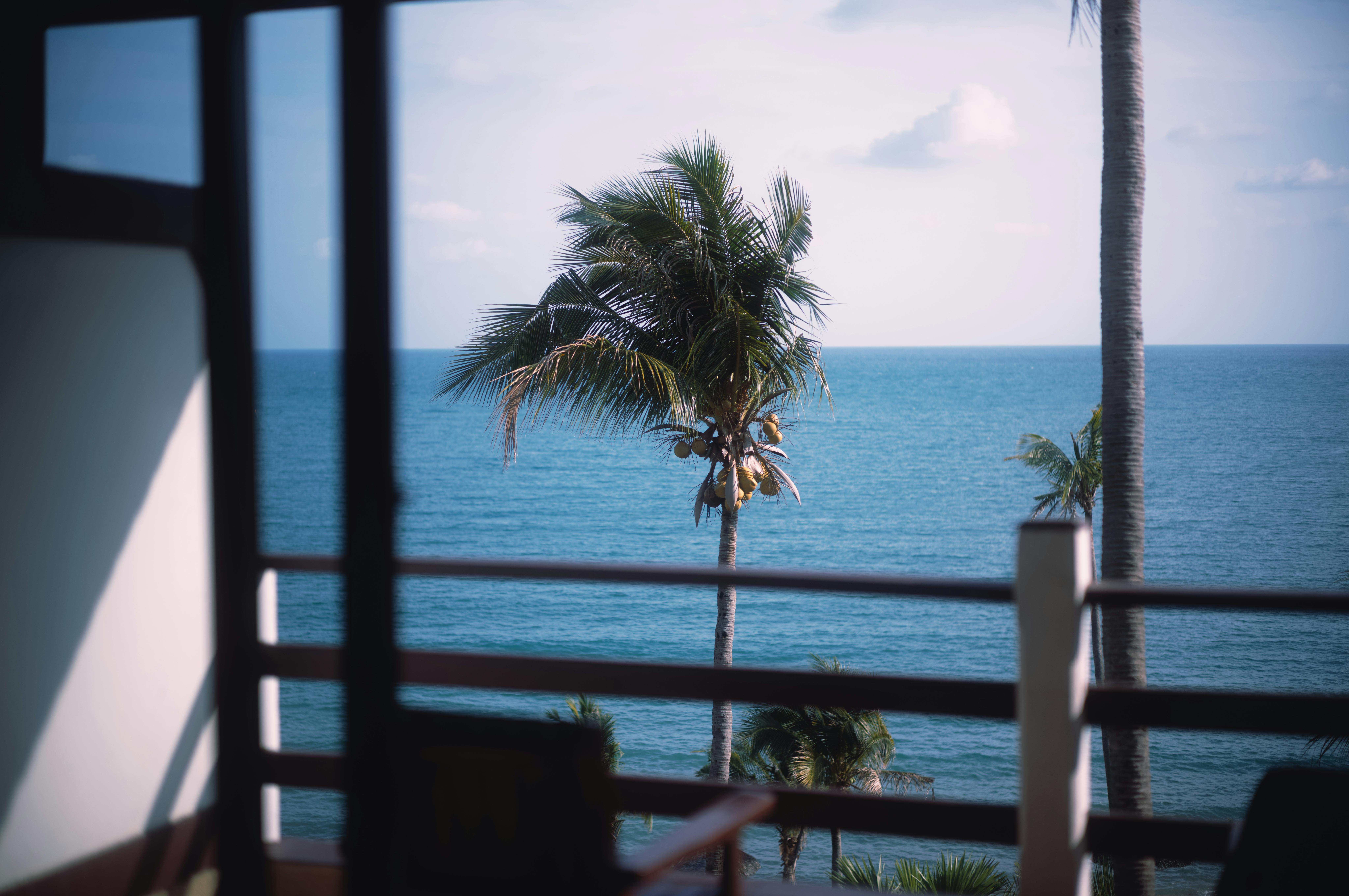 Vista do Arquipélago