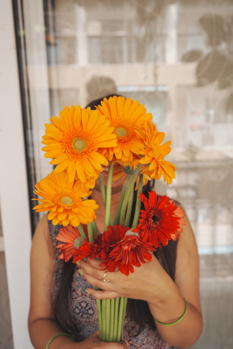 Bright gerbera daisies in orange and red held by a woman indoors, covering her face.