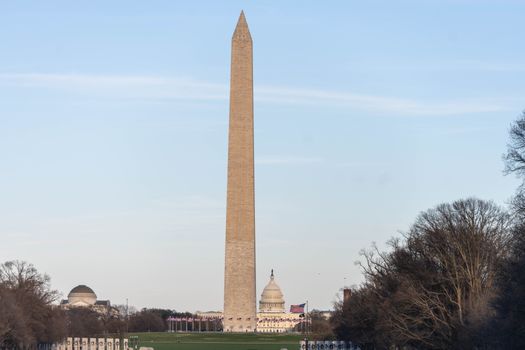 Washington Dc, United States photo 3