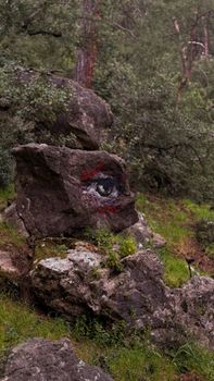 Graffiti of an eye painted on a rock in a forest setting. Artistic and intriguing.