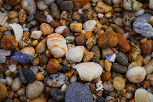 Free A vibrant mix of colorful pebbles and seashells captured in a close-up shot. Stock Photo