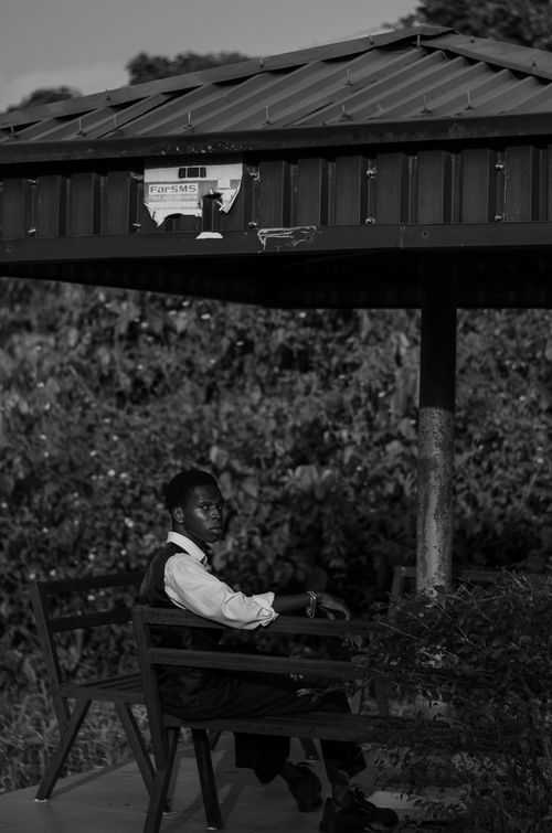 Free A monochrome scene featuring a man seated under a shelter, surrounded by foliage. Stock Photo