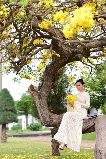 A woman in traditional attire sits gracefully on a tree branch, surrounded by vibrant yellow flowers.