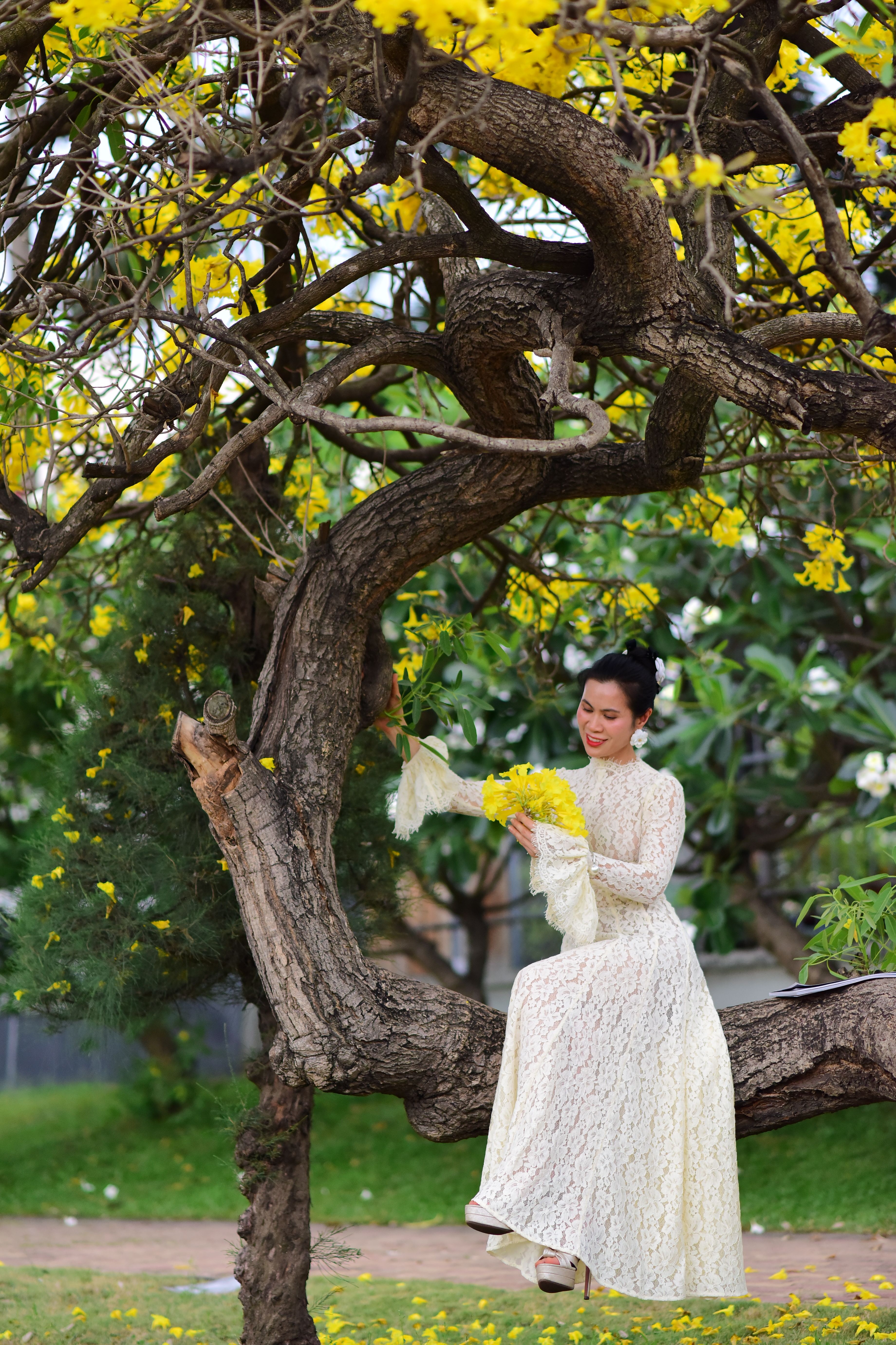 Elegant woman in white lace dress sitting on a tree branch amidst blooming yellow flowers, exuding a serene and joyful mood.
