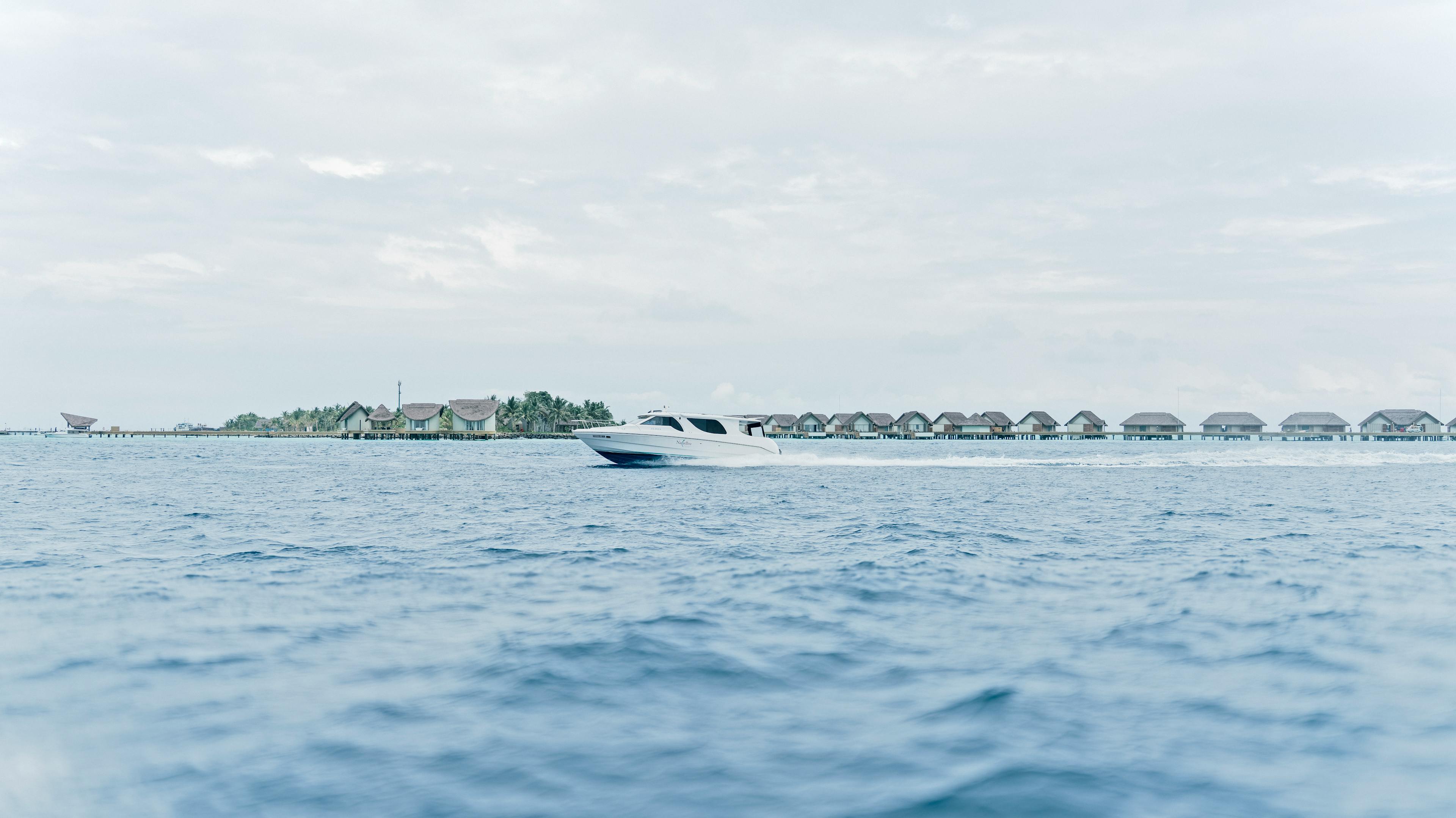 Blue Horizon speedboat
