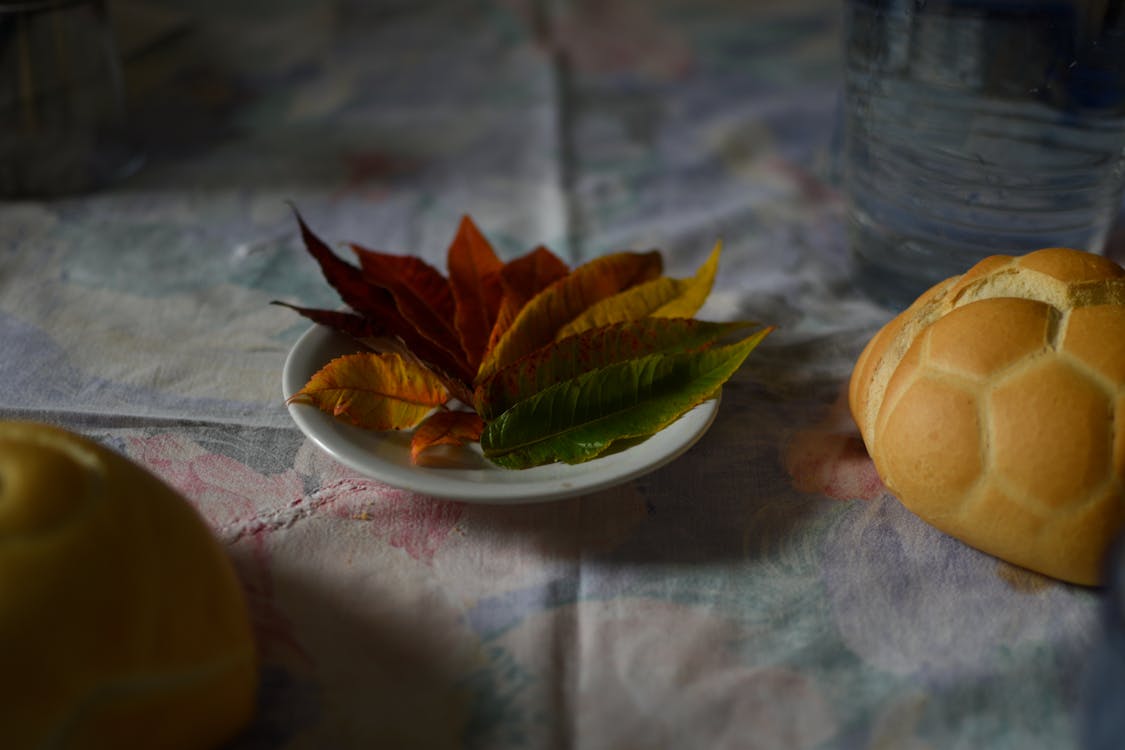 Free stock photo of autumn, italy, lunch