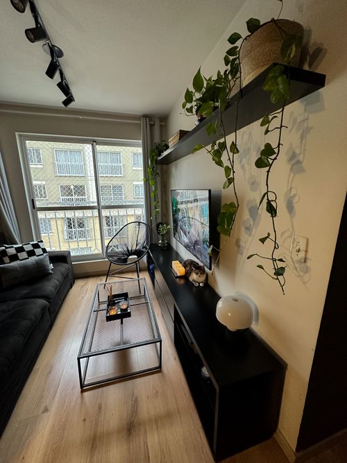 Free Stylish living room interior with natural light, indoor plants, and contemporary furniture. Stock Photo