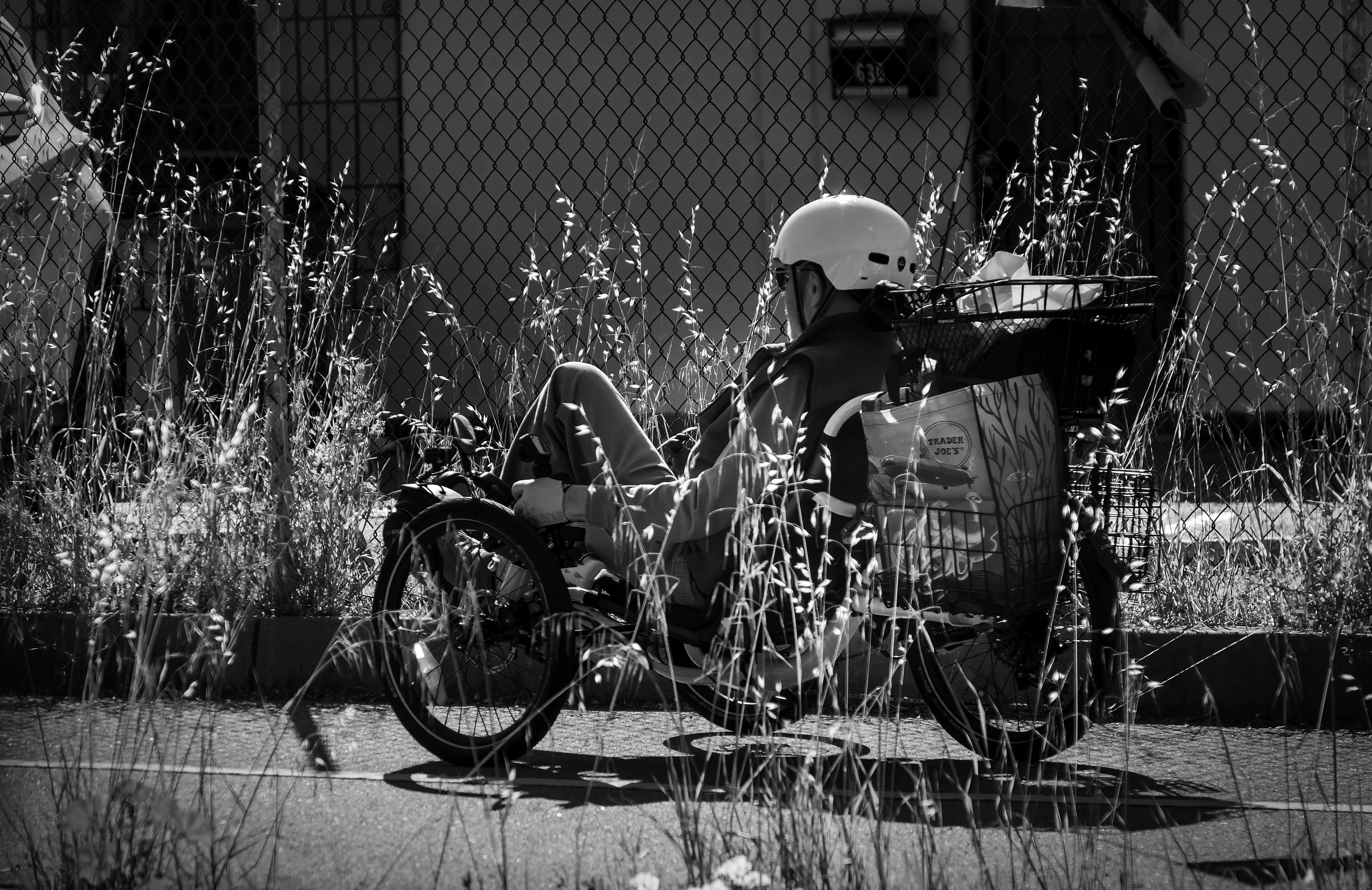Addmotor E-325 Electric Cargo Bike: A New Era of Mobility for Families, Commuters, and Small Businesses — Photo by David McEl