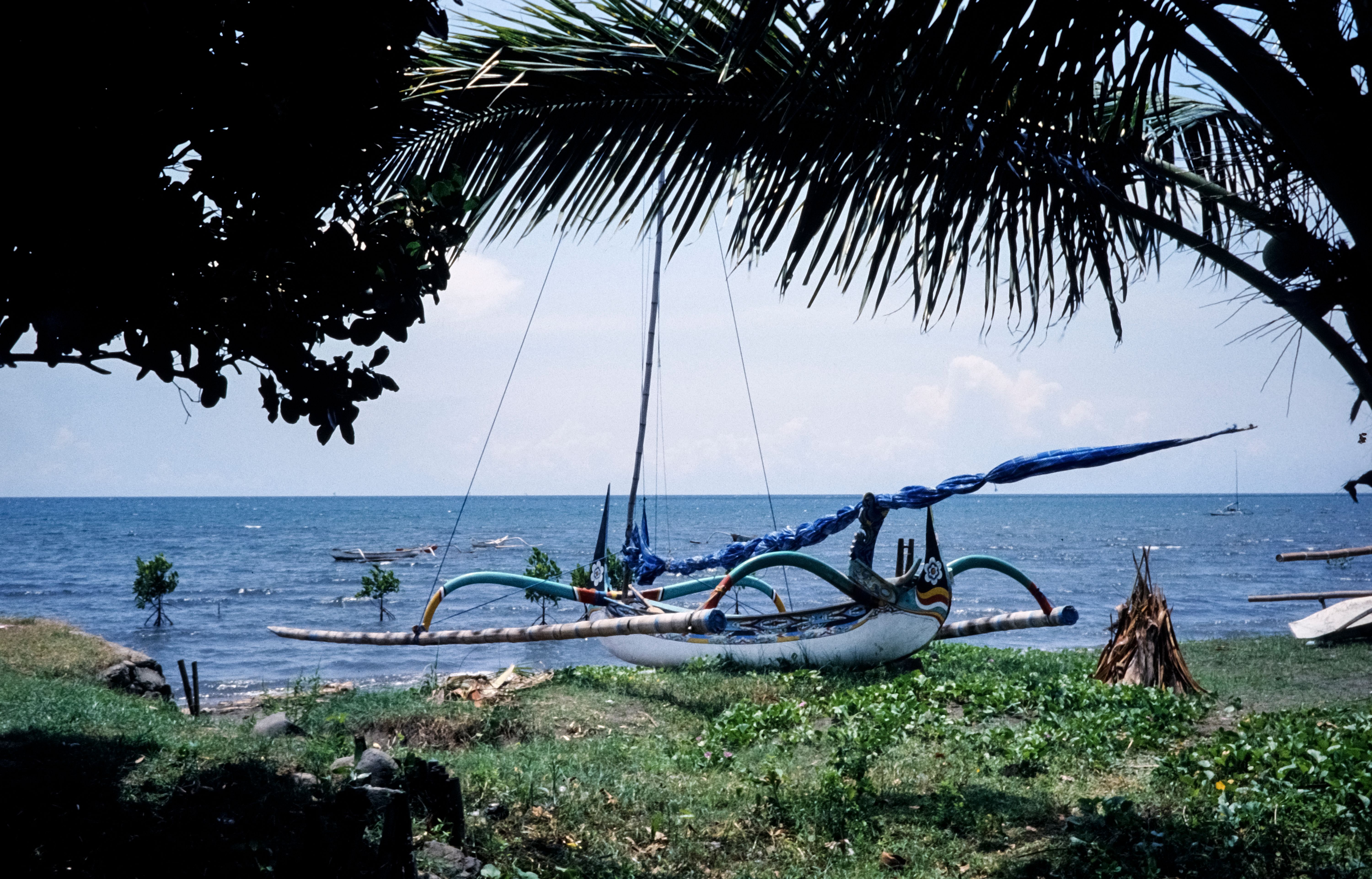 Live-Action Moana (2026): What It Is and Is It Worth Watching?