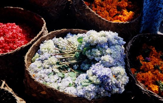 Vibrant assortment of flowers in woven baskets at an Indonesian market, showcasing local flora.