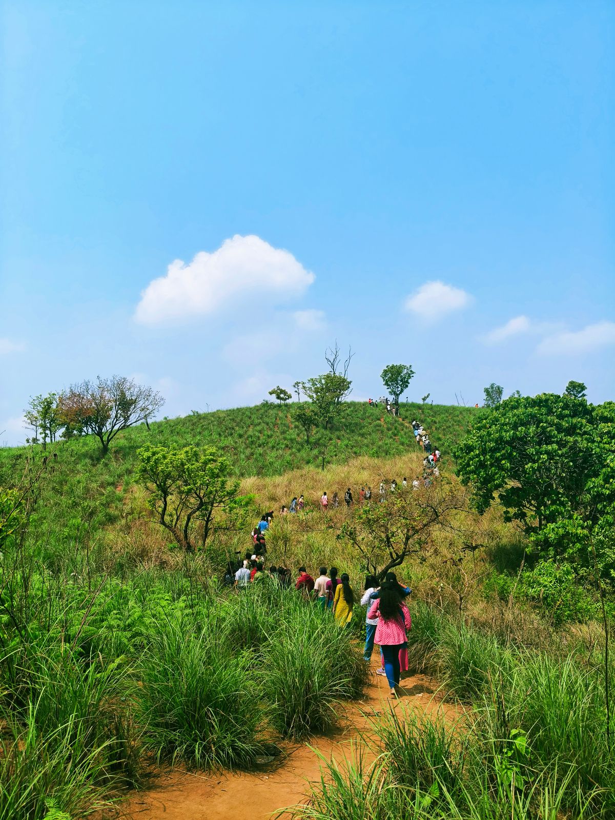 Trekking