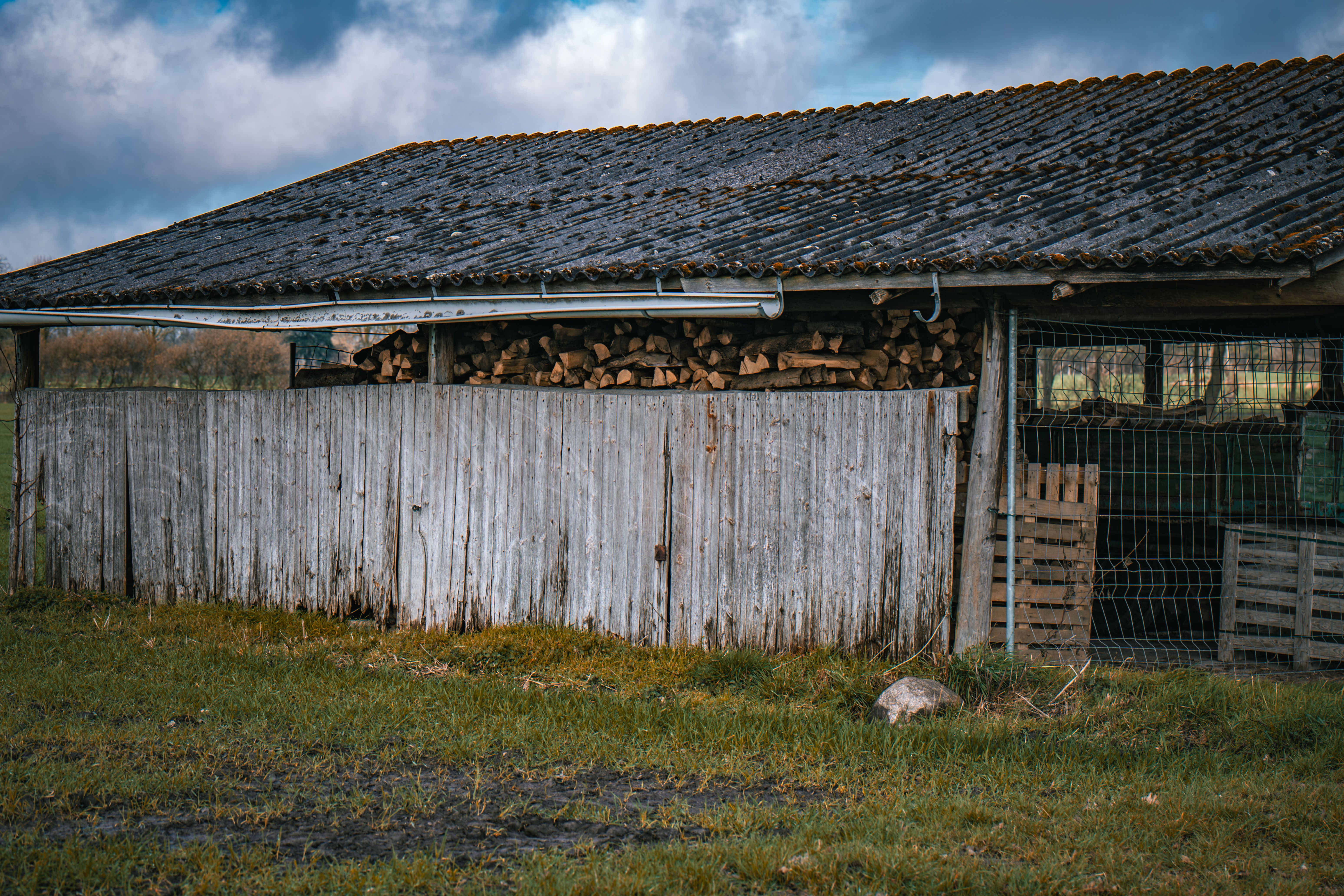 Fence and Decking Painting in Tottenham Hale — walls rolled to an even, flat finish