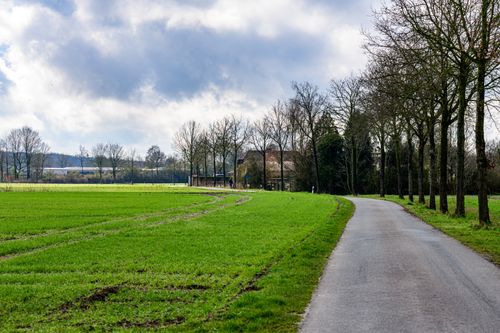Free A tranquil rural road lined with trees in the countryside of Coesfeld, Germany. Stock Photo