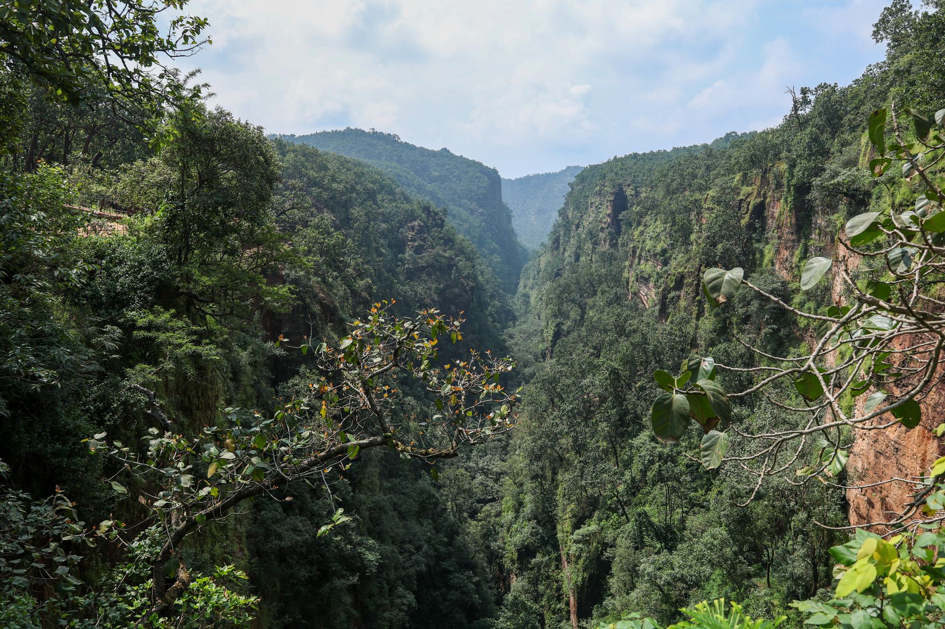 Breathtaking view of verdant valleys in Pachmarhi, India, showcasing rich biodiversity and vibrant greenery.