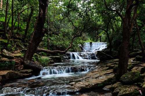 Free Serene waterfall flowing through a lush, green forest creating a peaceful nature scene. Stock Photo