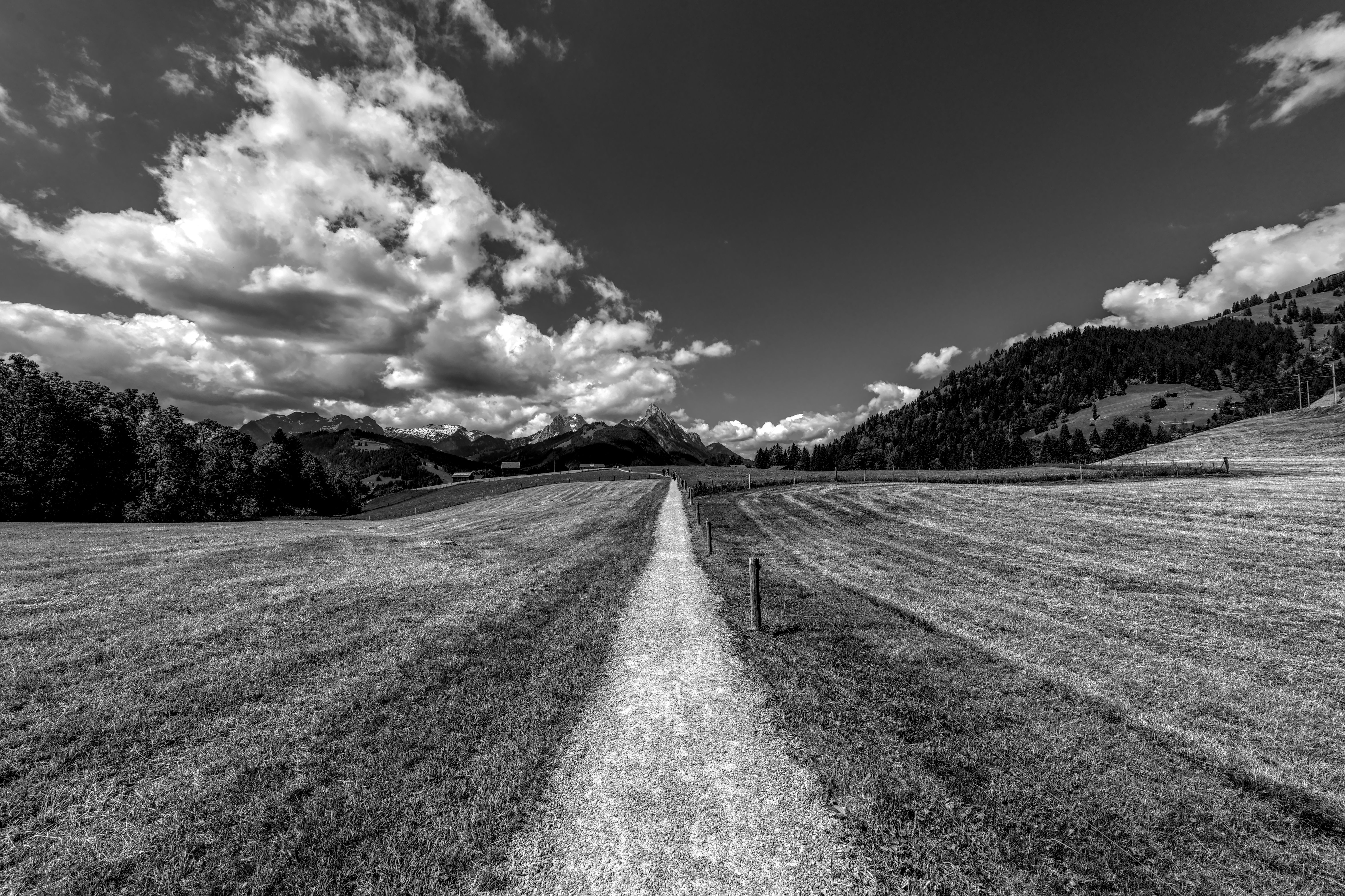 Monochrome view of a gravel path leading through lush alpine meadows with dramatic clouds.