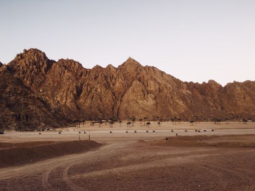 Free Expansive desert scene with rocky mountains and sparse palm trees, capturing a serene landscape. Stock Photo