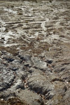 Detailed view of a dry, cracked earth landscape with sparse vegetation and erosion patterns.
