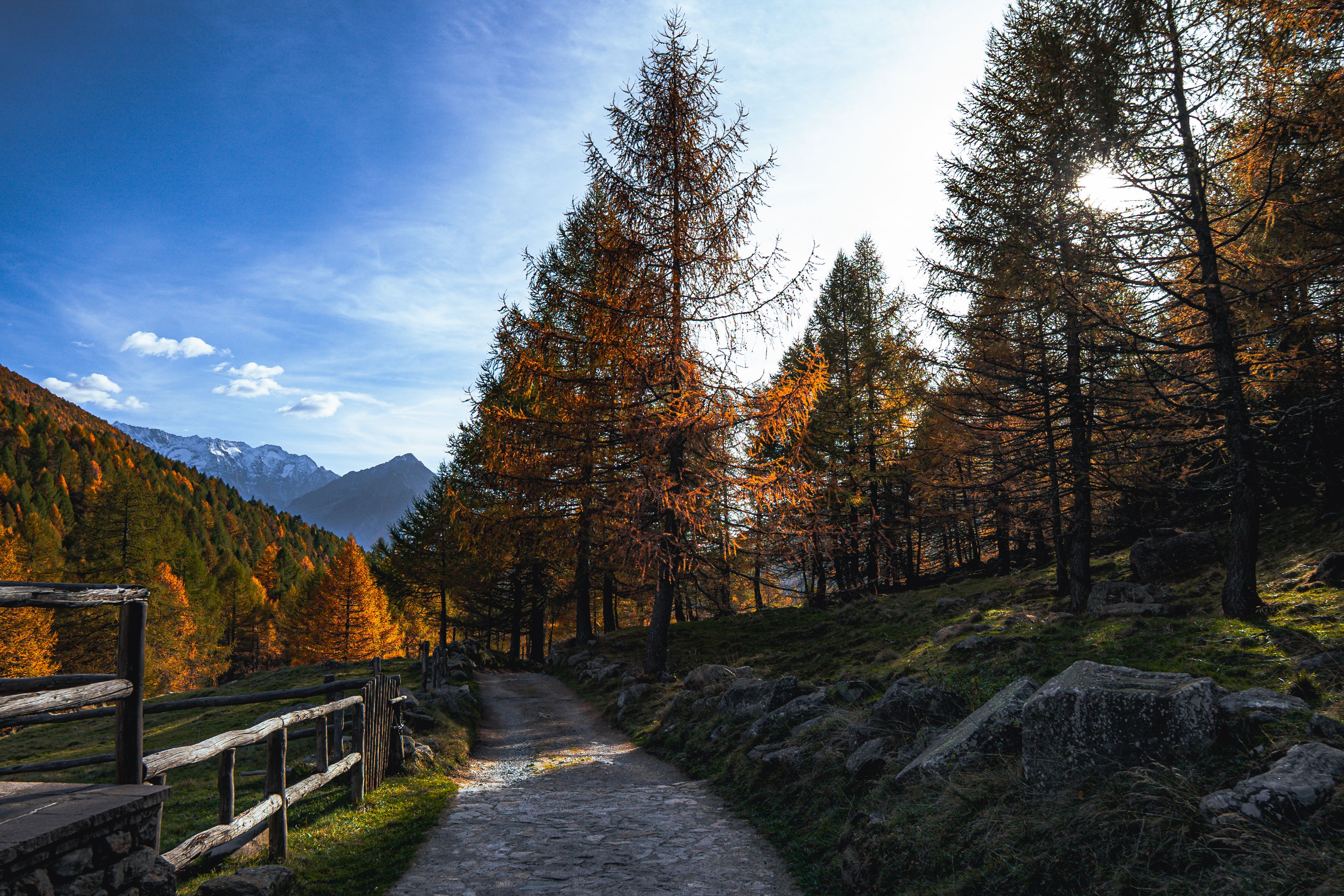 Sentiero Valtellina Cycling & Walking Path