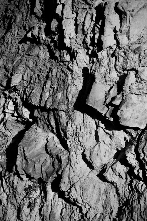 Free Close-up of a textured rock formation in monochrome, highlighting natural patterns and shadows. Stock Photo